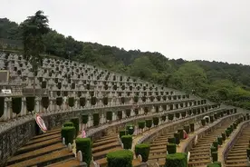 老山前线因违纪复员的女兵，20年后，将玫瑰插满了麻栗坡烈士陵园图片