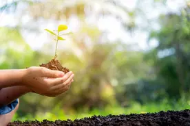 天使降临：人类幼崽的治愈魔力图片