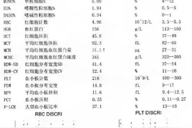 原来白细胞低也不行！80％的人不知道的危害！图片