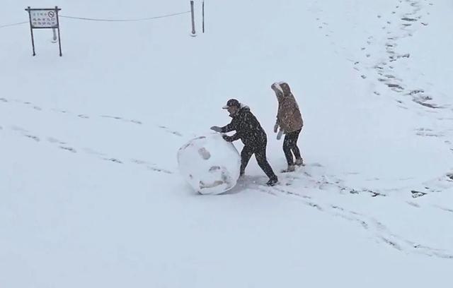 ​山舞银蛇 原驰蜡象！河津迎来2024年第一场雪