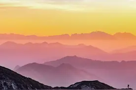 颠覆认知！科学家发现让大脑更聪明的秘密武器？图片