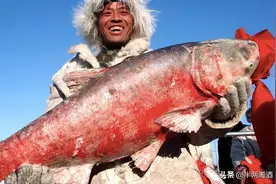 查干湖的鱼比窦娥还冤，年年捕捞！为什么连当地人都说是洗澡鱼！图片