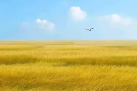 土木央企小夫妻如何3年拿屌丝八证，年入30W+？图片