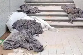 回家走疏散通道，淄博新东升润园业主堵心图片