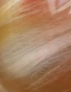 黄胶花水晶 和 发晶 能量比较 黄胶花水晶和黄水晶的区别