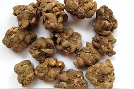 猫爪草才是结节患者的救世主！搭配这个中成药，堪称结节粉碎机。图片