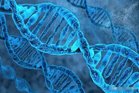 揭秘5个罕见基因特征，拥有它们你可能就是“上帝的宠儿”！图片