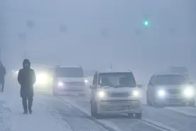 中国倒爷俄罗斯卖车，富贵险中求图片