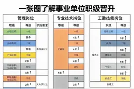 终于有人将事业单位职级晋升说明白了图片