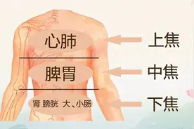 三焦通了，病就少了！中医教你如何清上焦，通中焦，利下焦！图片