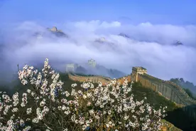爱之深、责之切，爱子如此，爱国亦如此图片