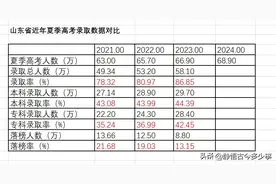 山东省2024年夏季高考数据分析图片