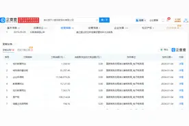 深挖极目新闻，关联小贷公司屡成被执行人图片