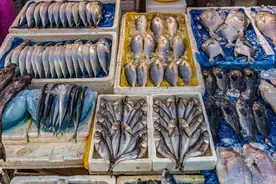 冬季最该吃的鱼，不是带鱼和鲈鱼，而是这3种，营养高还便宜图片