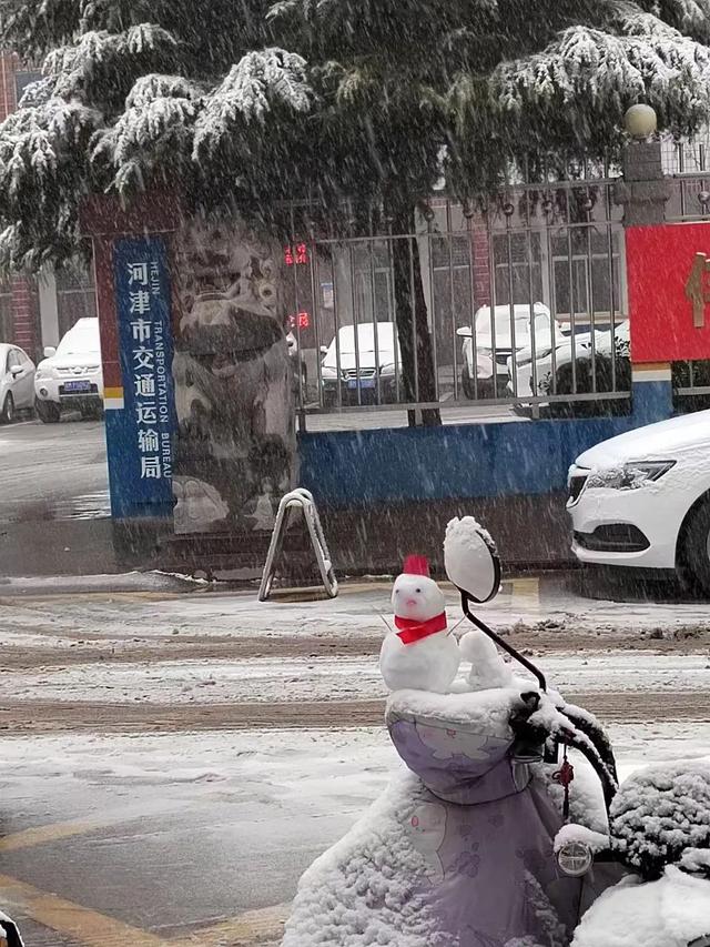 ​山舞银蛇 原驰蜡象！河津迎来2024年第一场雪