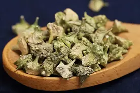 耳鸣、耳聋别怕，有特效方，一辈子的经验，我不藏着掖着！图片