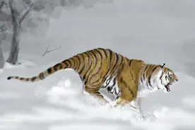 画虎画皮难画骨 知人知面不知心图片
