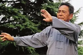 只需坚持习练一个招式，让身体康健，受益终身图片