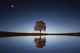 步入婚姻，男人更想要的不是爱，而是这两样东西，很重要图片