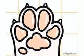 通过狗爪的“肉垫”形状判断狗狗的性格，快看看你家狗狗是哪种？图片