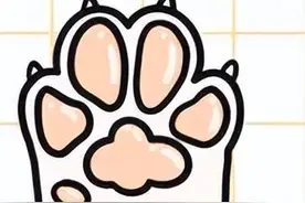 通过狗爪的“肉垫”形状判断狗狗的性格，快看看你家狗狗是哪种？图片