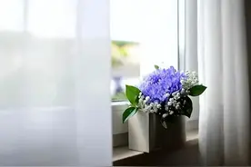 俗语“枕下放二样，家兴人丁旺”，指的是哪两种东西?这不是迷信图片