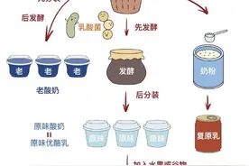 每天喝的竟然是“假酸奶”！识别真假酸奶，一文就够了！图片