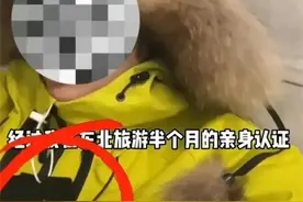 不撕吊牌是为了在东北旅游结束 再把衣服从网上退掉 我错了吗图片