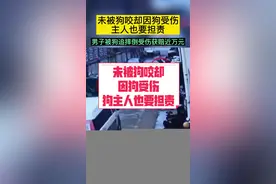 未被狗咬却因狗受伤，狗主人也要担责！男子被狗追摔倒受伤获赔近万元！#未栓绳 #受伤 #狗主人#担责 @北三环政能量 