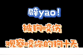 辟谣：被狗咬伤，观察狗十天，它没S，就不用打yi苗？？  #萌宠出道计划   #养宠进阶指南   #狗
