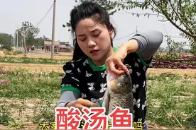 鱼的做法有很多种，今天兰兰给老爸做一个家庭版的特色美食“酸汤鱼”汤鲜味美，酸辣开胃，特别好吃😋#乡村守护人 #风味贵州 #贵州酸汤有多上头#赤热城市辣享季#酸汤鱼视频封面