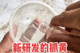 这种配方我精心研制很多天，终于出了结果，效果非常哇塞，每网基本不会空网，抓龙虾，泥鳅，黄鳝杠杠的，#抓黄鳝户外 #真实户外 #地笼 #黄鳝地笼 #实验 视频封面