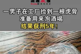 一男子在俄罗斯工厂捡到一根虎骨，准备带回国泡酒喝，结果获刑5年！视频封面