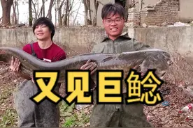 努力了两天时间，再一次看到大鲶鱼，依然很震撼！#新农人计划2023 #乡村守护人 #原来钓鱼才是抖音运动顶流 #2023dou来钓鱼视频封面