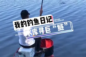 粉丝说这里鲢鳙都是门板大小级别，来挑战一下，你猜钓了个啥？#dou是钓鱼人 #户外钓鱼 #钓鱼人 