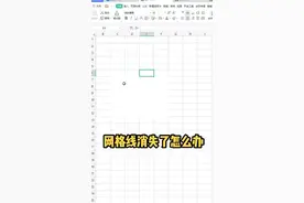 网格线消失了怎么办#干货分享 #办公技巧 #excel技巧 #wps #文员 @抖音短视频 @DOU+小助手