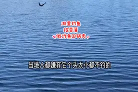 挪威野生湖泊里的这种小鱼特别好钓，很快就能钓到一盘#下酒菜 #炸小鱼#野钓 #户外钓鱼 #鱼获 #挖野菜 #回锅肉 #香蒲 #河狸#海外生活 #老外吃中餐 @DOU+小助手 视频封面