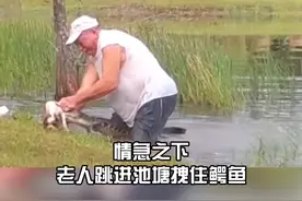 勇猛！美国七旬老人勇斗鳄鱼救爱犬，全程淡定叼着烟！网友：这是真爱！#狗 #爱犬  #你大爷还是大爷视频封面