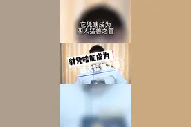 豺为啥能成为四大猛兽之首！#奇妙知识在抖音 #段子手 #奇葩冷知识 #脱口秀 