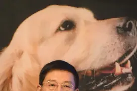 你家狗狗是不是也总拿屁股对着你#狗狗 #宠物知识 #狗狗的日常 视频封面