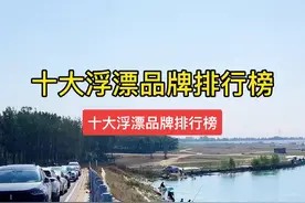 十大浮漂品牌排行榜，你经常用哪一款？#钓鱼 #钓鱼人 #浮漂