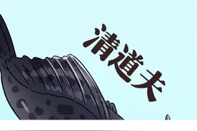 清道夫到底能不能吃？#美食趣胃计划 #美食推荐官