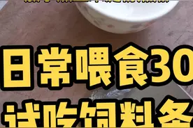 有人说消化不了，我倒是要试试看#鳜鱼 #vlog日常视频封面