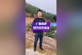 啊海带你走进广西贵港一个中型养猪场，进苗准备中。如果你想抄底养猪，关注我。#农村养猪专业户 #养猪 #养殖人加油 #广西养猪 视频封面