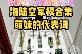 够萌么，不够我再加点#军事模型 #合金模型 #我们简直就是萌妹的代表词 