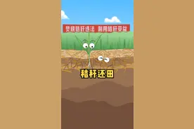 秸秆还田，你了解多少？虎爸好像懂了。#奇妙知识在抖音 #新农人 #我在抖音涨知识 #抖音原创动漫 #又涨知识了 #秸秆还田 #面面虎视频封面