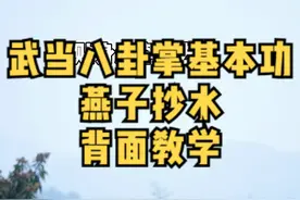 武当八卦掌基本功#燕子抄水 你们要的背面教学来了。#居家锻炼 #这回总该学的会吧 #武当武术 #道家养生 @武当煮语