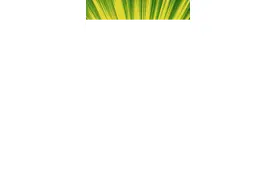 小龙虾哪里不能吃？哪里能吃？你真的知道吗？#美食趣胃计划#科普#美食 #小龙虾视频封面