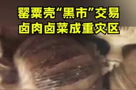 转发警惕！曝黑市罂粟壳流向熟食小吃点？ 非法增香危害大！视频封面