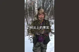 冻青，寄生类植物，是一种唯一可以在冰天雪地开花结果的植物！